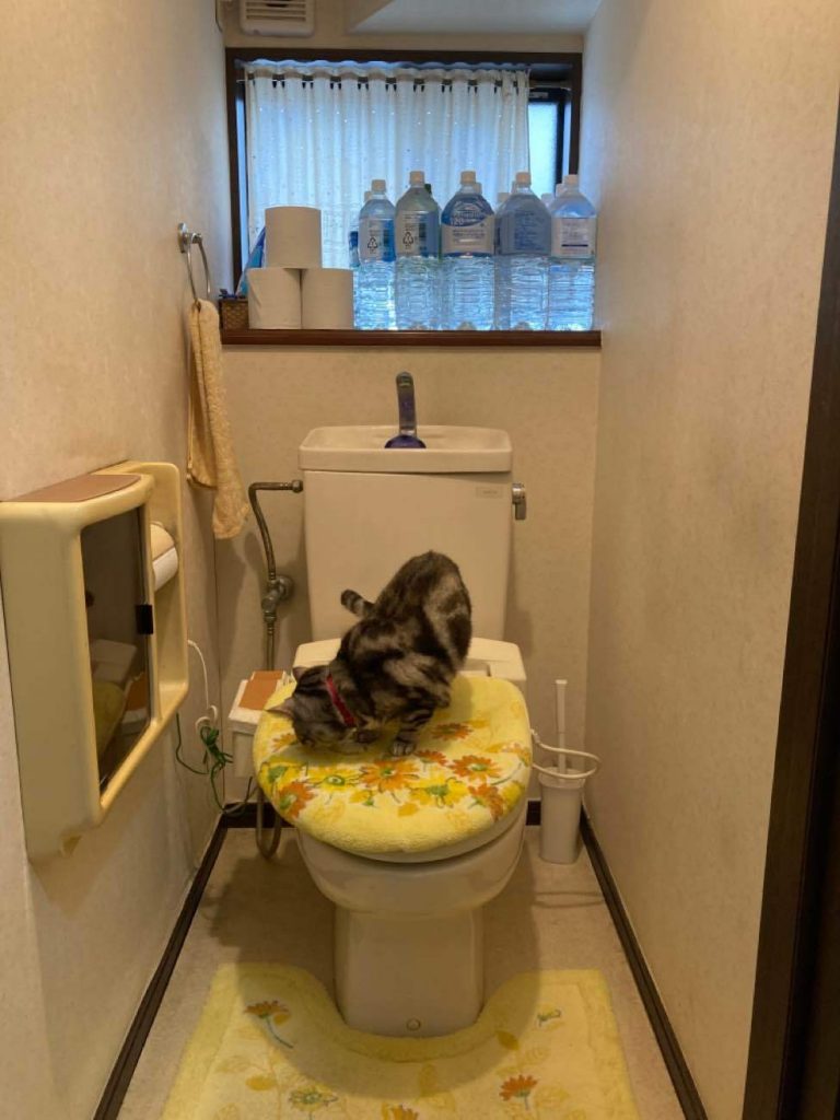 鴻巣市｜トイレリフォーム（LIXIL：リフォレＩ型）